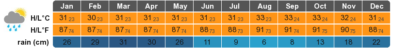 Manaus Climate