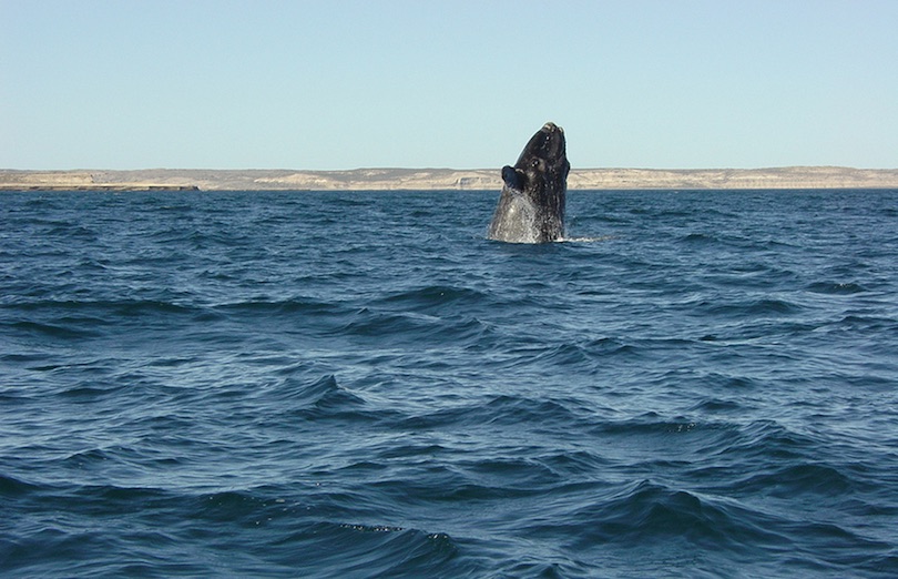 Puerto Madryn