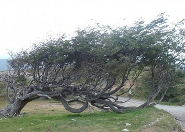 Estancia Harberton, Ushuaia
