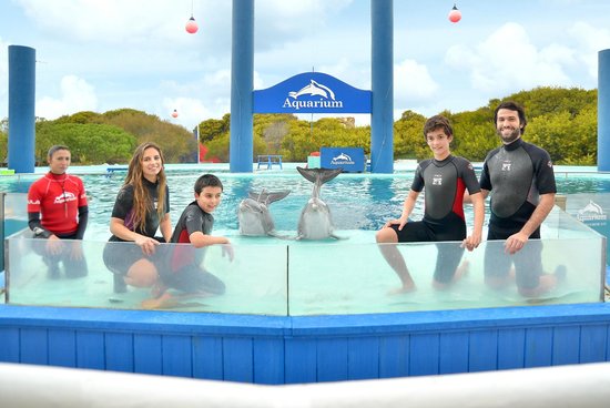 mar-del-plata-aquarium,Mar del Plata Aquarium, Mar del Plata