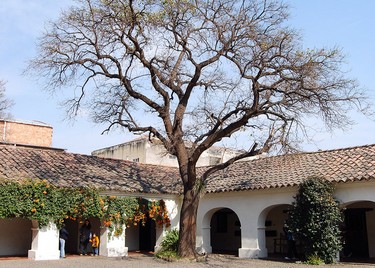 Salta Cabildo, Salta