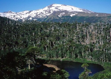 Parque Provincial Copahue, Caviahue-Copahue
