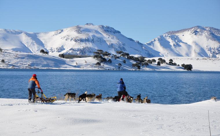 trineos2,PASEOS EN TRINEO, Caviahue-Copahue