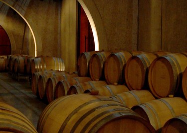 ae2dce2243,Neuquén, entre vinos y dinos, Neuquén