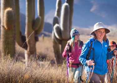 2e8bf50608,Salta, aventuras que despiertan los sentidos, Salta