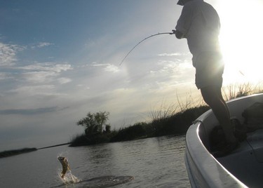 50b0fb1b03,Santa Fe, pesca de buenos momentos en el Río Paraná, Arroyo Seco