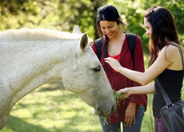 91b2794d25,Ruta de la Leche, recetas de la cuenca santafesina, Sauce Viejo