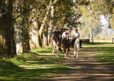 c392a70a54,Ruta de la Leche, recetas de la cuenca santafesina, Santa Fe