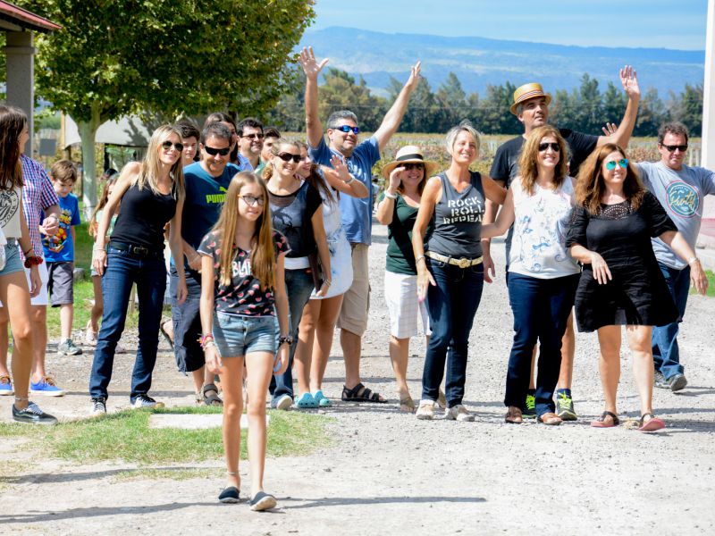 6e694fb759,San Juan, sabores y olivo, San Juan