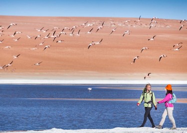 395b4af877,La inmensidad de la Puna salteña, San Antonio de Los Cobres