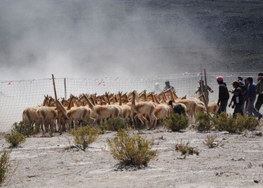 0b3dd4b0a3,Laguna Blanca: un oasis lleno de contrastes, Belén