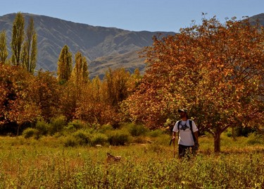 b8b038513b,Ruta 40 en La Rioja: un camino, toda la magia, Famatina