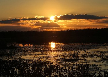 14aa9f91f9,Jaaukanigás, el origen de la vida, Santa Fe
