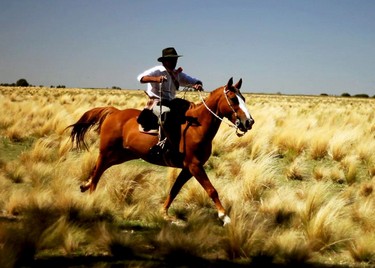 Colores, sabores y vivencias en los campos de La Pampa, Santa Rosa