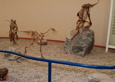 ceed2ad642,Dinosaurios de Neuquén: tras las huellas del pasado, Neuquén