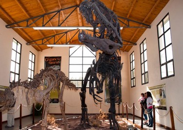 d64a8f9948,Dinosaurios de Neuquén: tras las huellas del pasado, Plaza Huincul