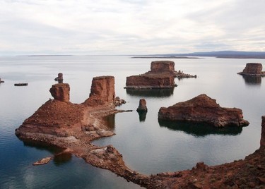 f745c57756,Dinosaurios de Neuquén: tras las huellas del pasado, Neuquén