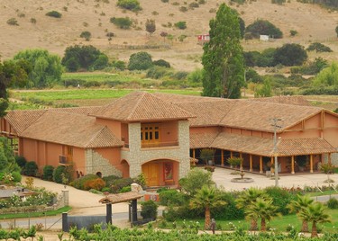 Valle-de-san-antonio-y-leyda-winery-ID137-mpo2xyl21b7it9ui0r8skegq8o9rwaedv78lzq6kz4,Valle de San Antonio/Leyda, Melipilla