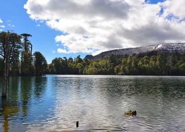 Parque-nacional-conguillio-benjamin-bossi-ID45-mpo33lm71ixgh1nl3707iz8ajwh22wsen45hnhtjn4,Parque Nacional Conguillío, Temuco