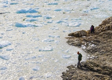Parque-nacional-Glaciar-serrano-ID39-mpo3wcii24a5jpwc84cga82sl4s6hnwvlef31573cg,Parque Nacional Bernardo O’Higgins, Laja