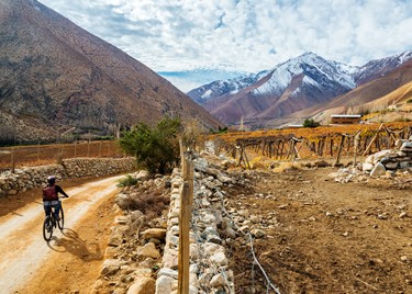 Mountain-bike-valle-del-elqui-ACT99,Mountainbike, Pirque