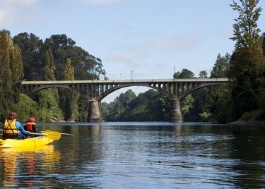 Kayak-rio-bueno-ACT70,Kayak, Villarrica
