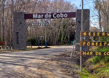 Mar de Cobo