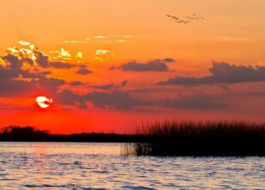 Colonia Carlos Pellegrini